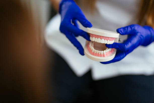  Vevay, IN Holistic Dental Services Pros